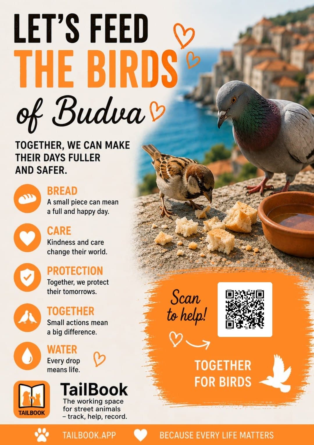 Let's feed the birds