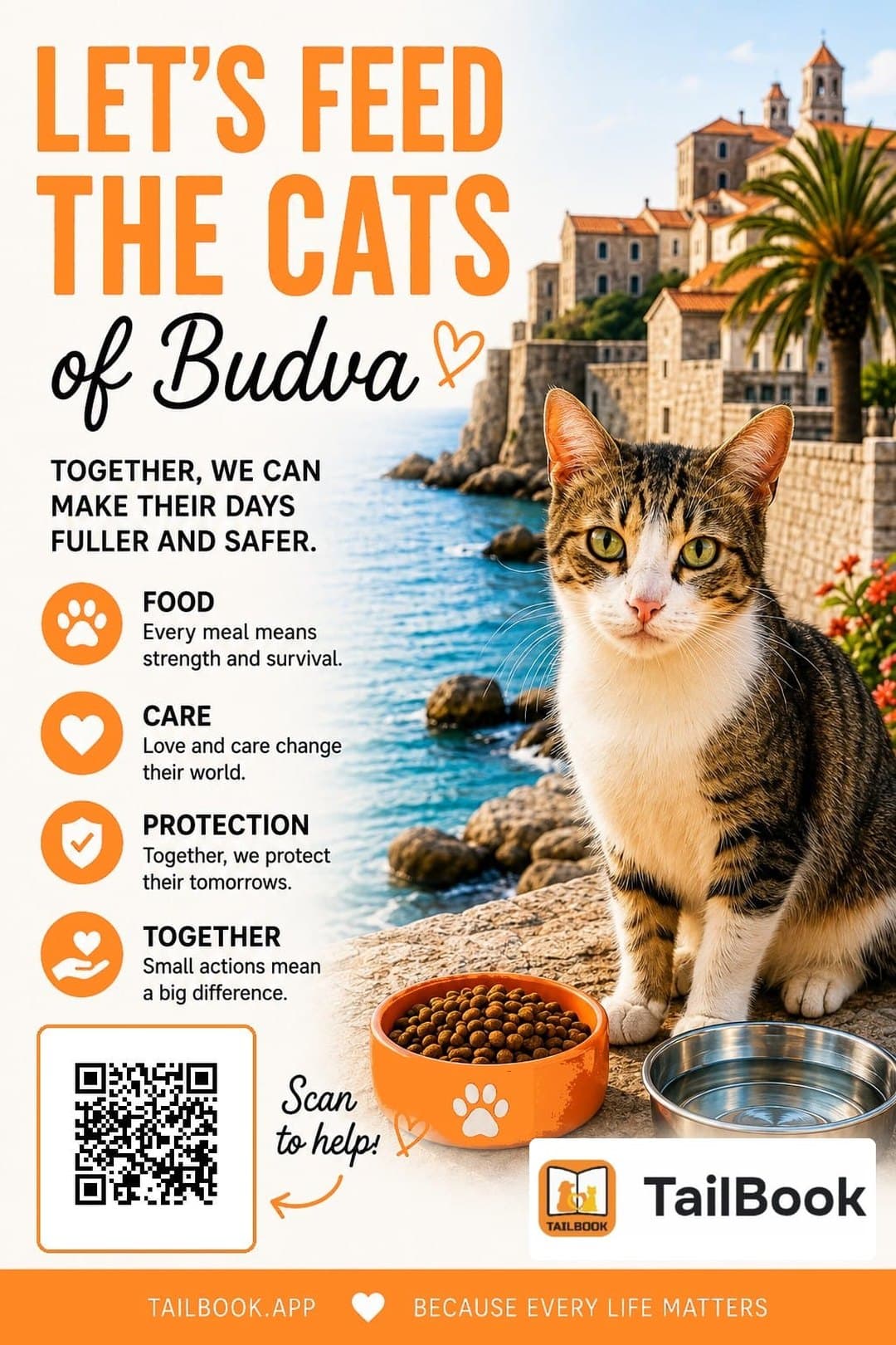 Let's feed Budva's cats