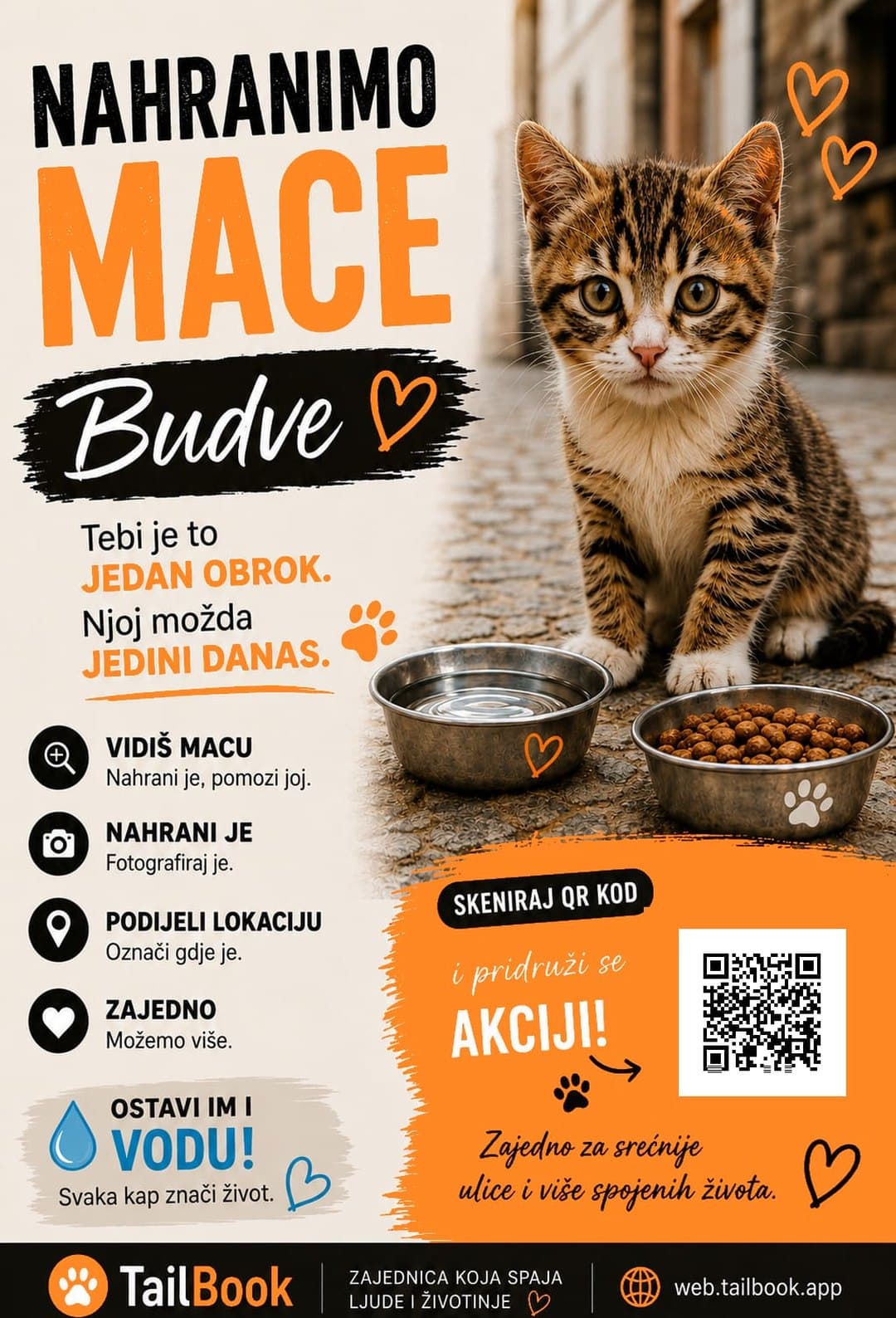 Let's feed Budva's cats